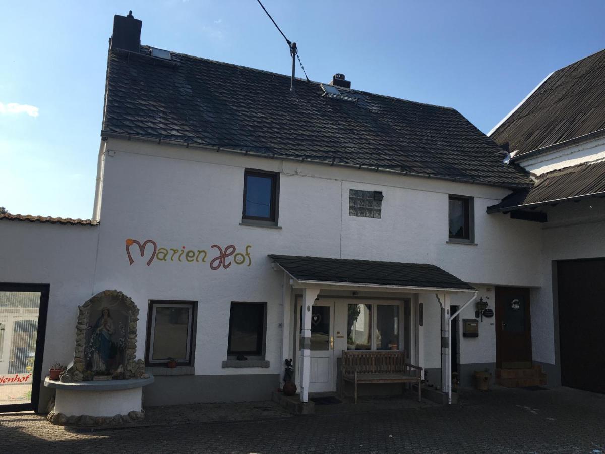 Ferienwohnung Marienhof Erdgeschoss Seelbach  외부 사진