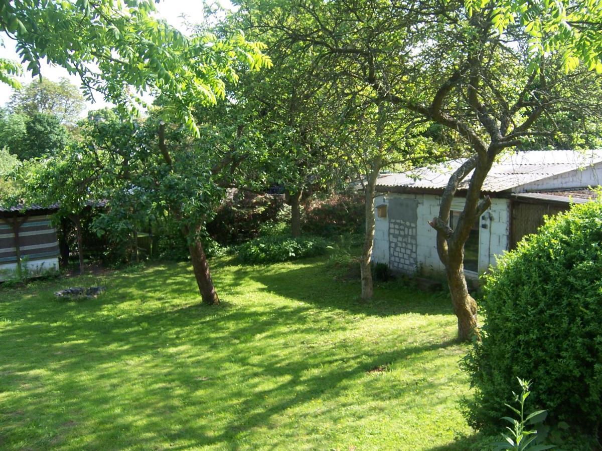 Ferienwohnung Marienhof Erdgeschoss Seelbach  외부 사진